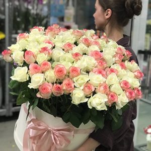 101 біла та рожева троянда фото