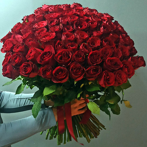 101 красная роза фото букета